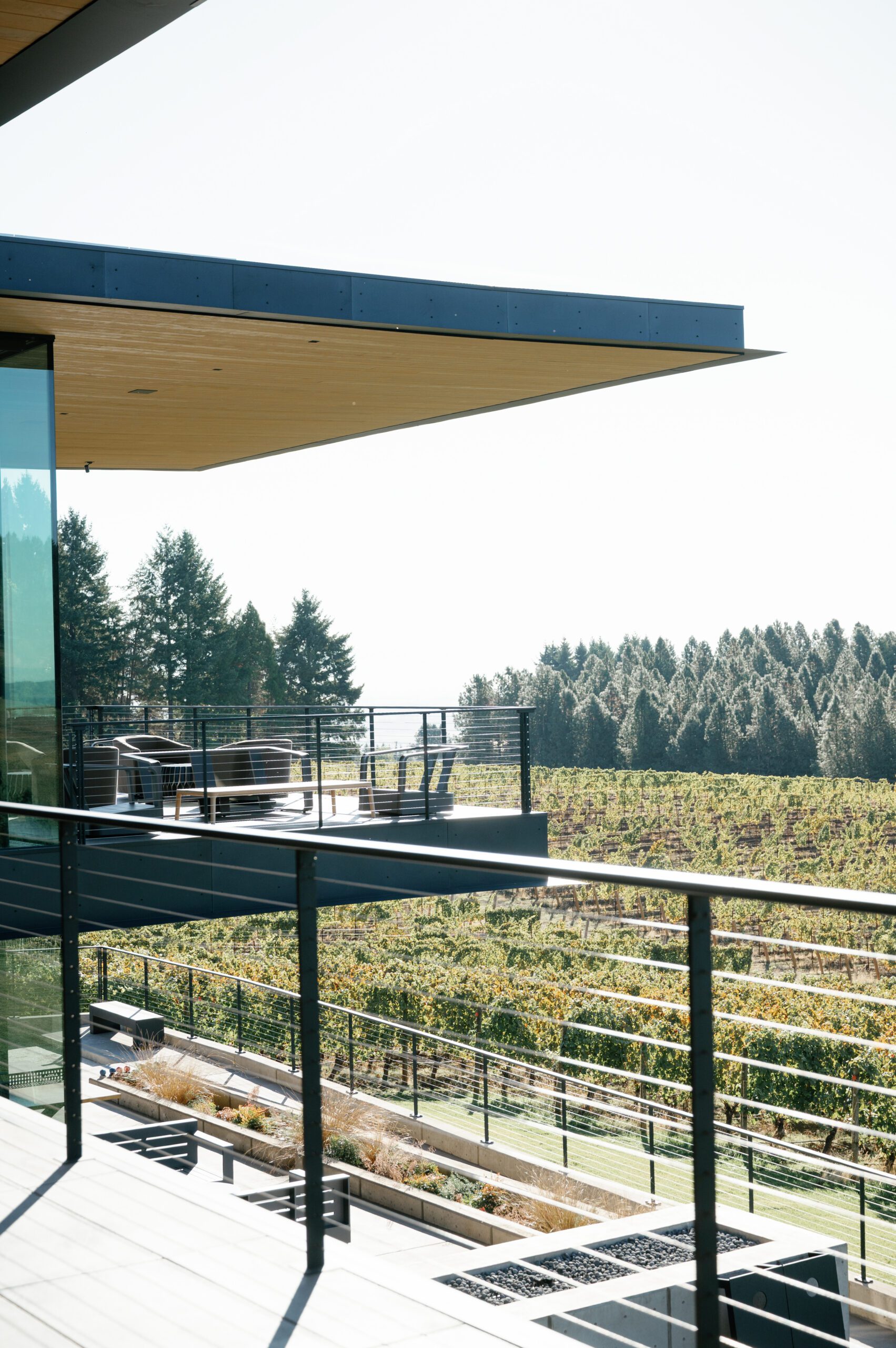 Oregon Vineyard wedding venue
