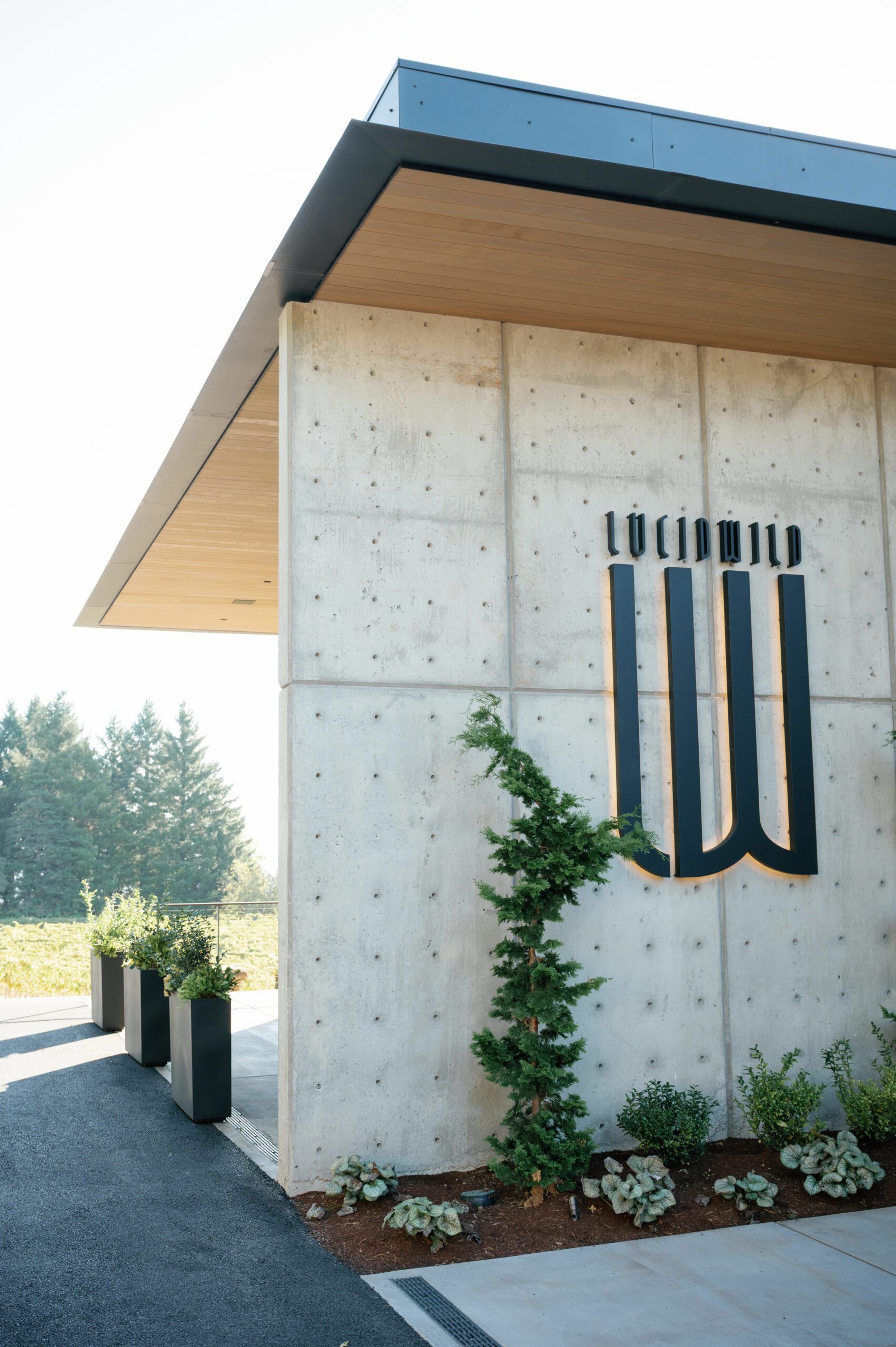 Modern Winery Wedding Venue