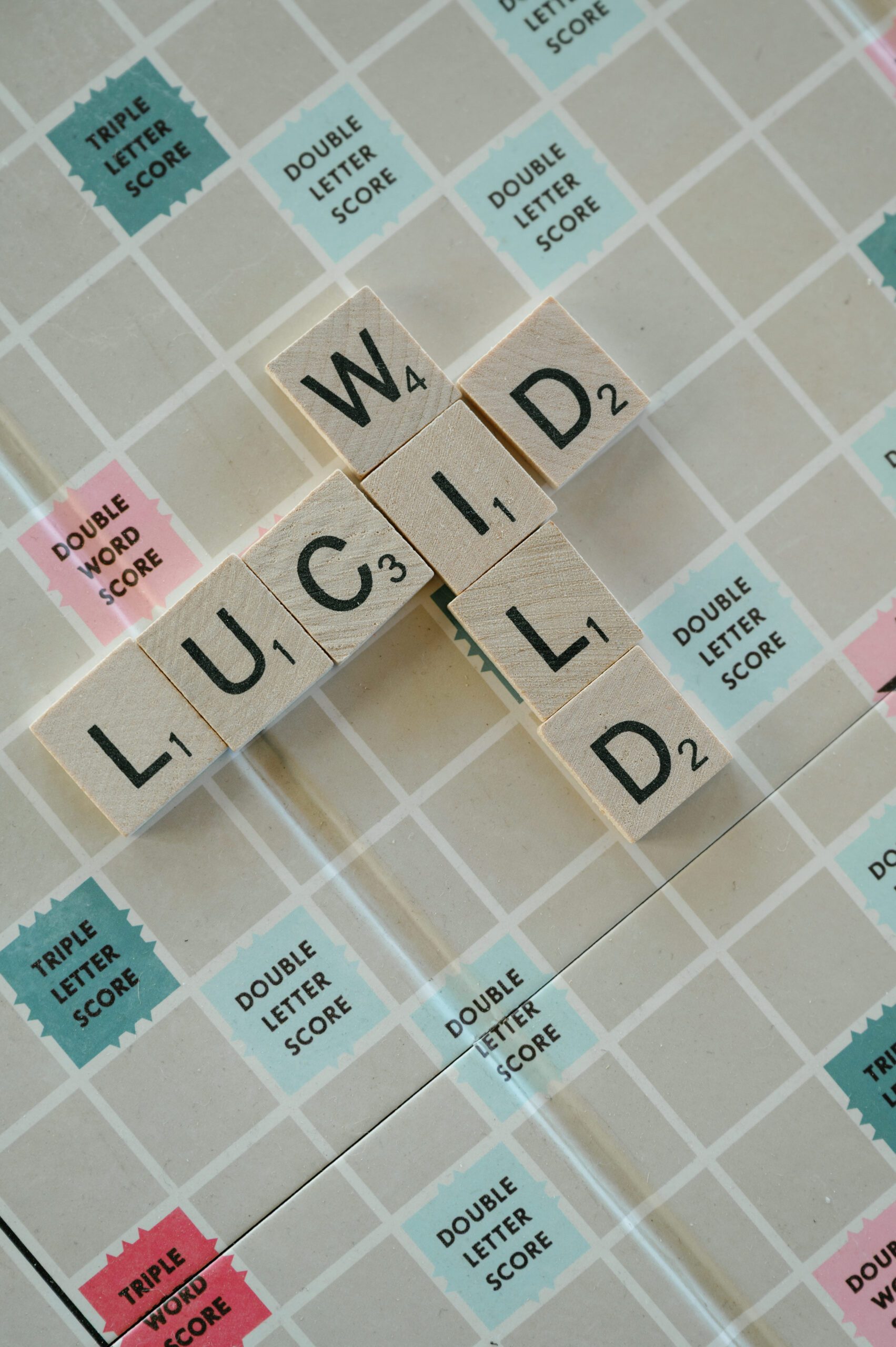  LucidWild Estate RecRoom