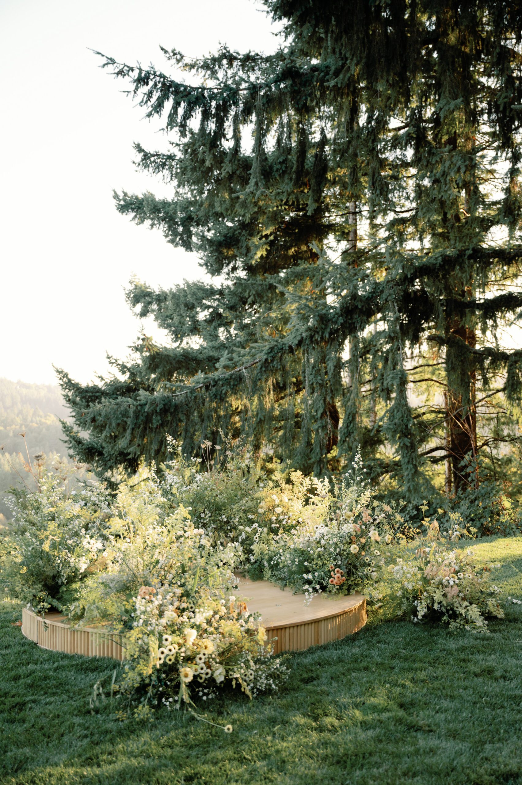 Wedding ceremony at the Wildflower Lawn at  LucidWild Estate 
