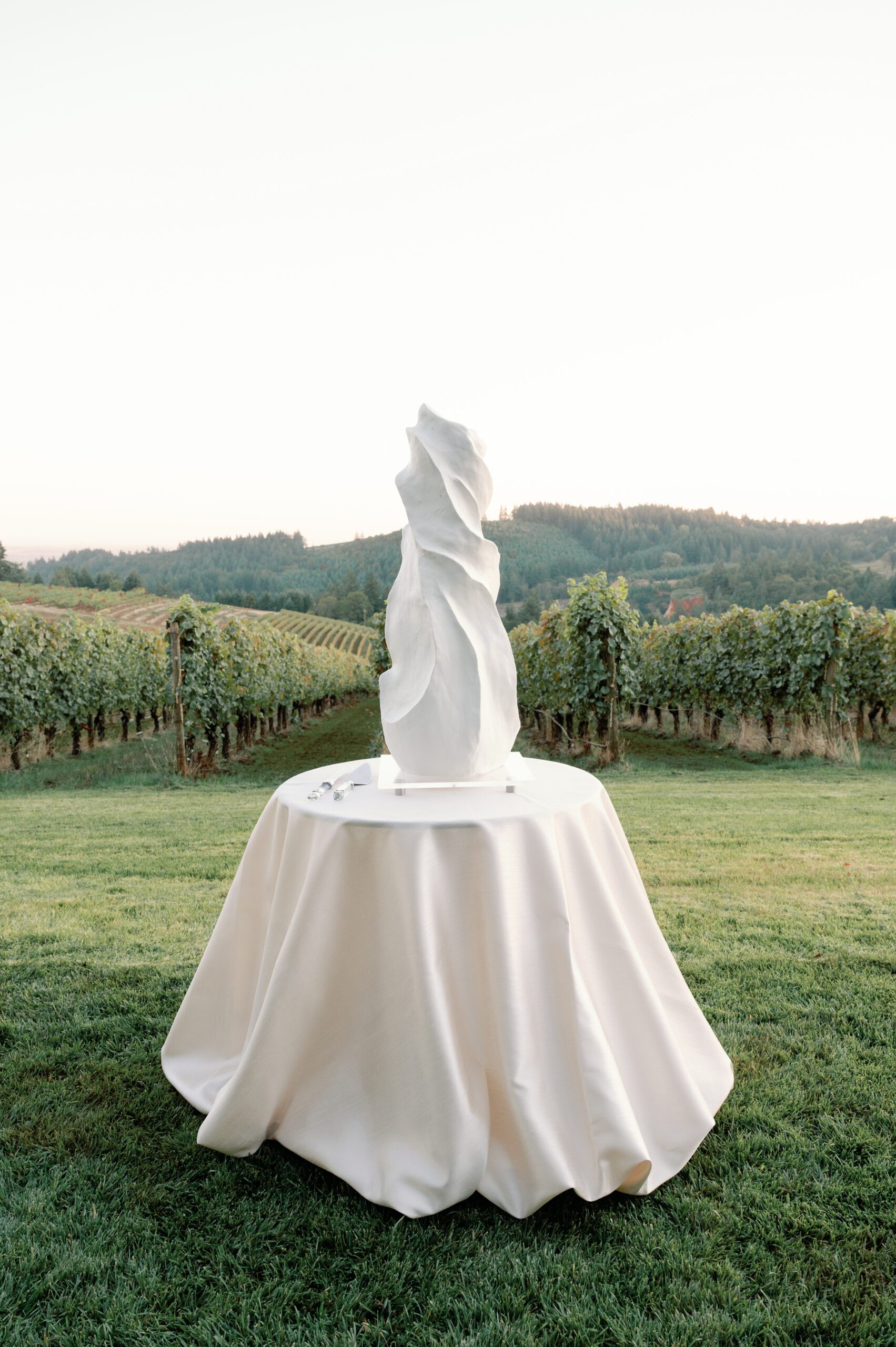 Cake cutting at LucidWild Estate vineyard